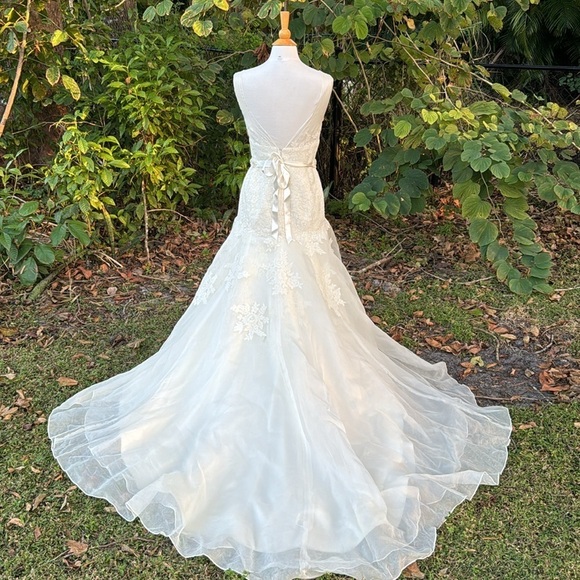 Watters Bridal Gown, style 9077B, drop waist, full skirt, size 10 - Picture 5 of 8